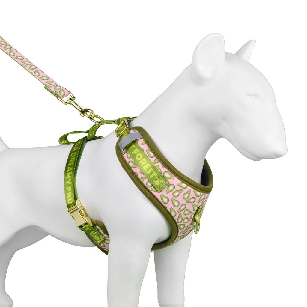 Polyester chest-back haulage rope for dogs in six colours with adjustable straps