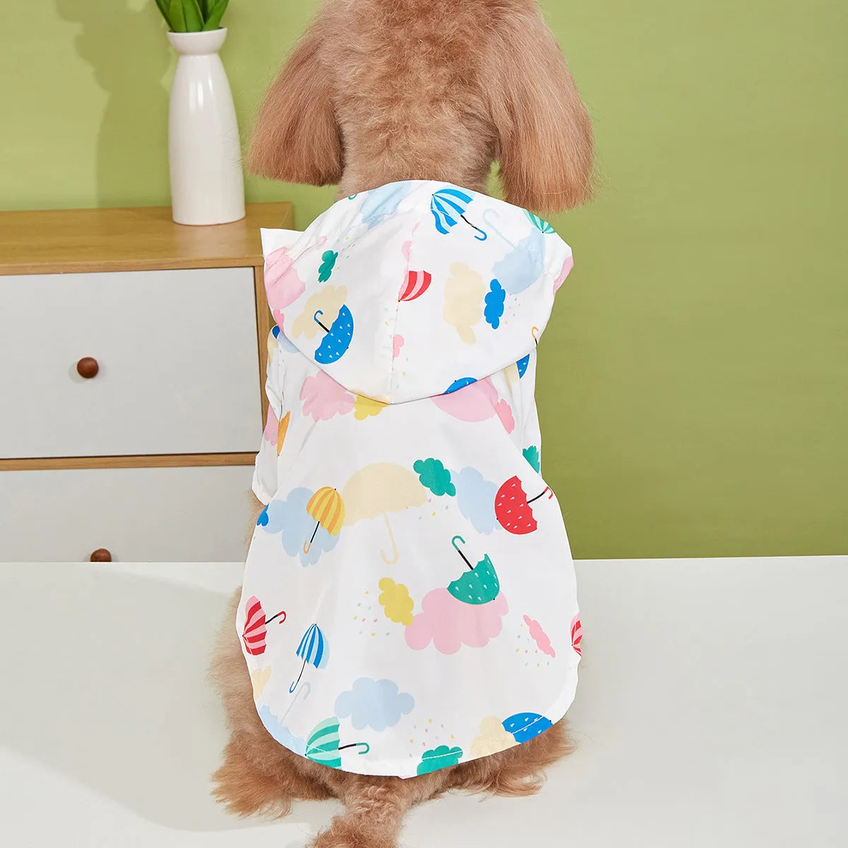 Colourful cartoon umbrella pattern dog raincoat in polyester fabric shown in multiple pet sizes