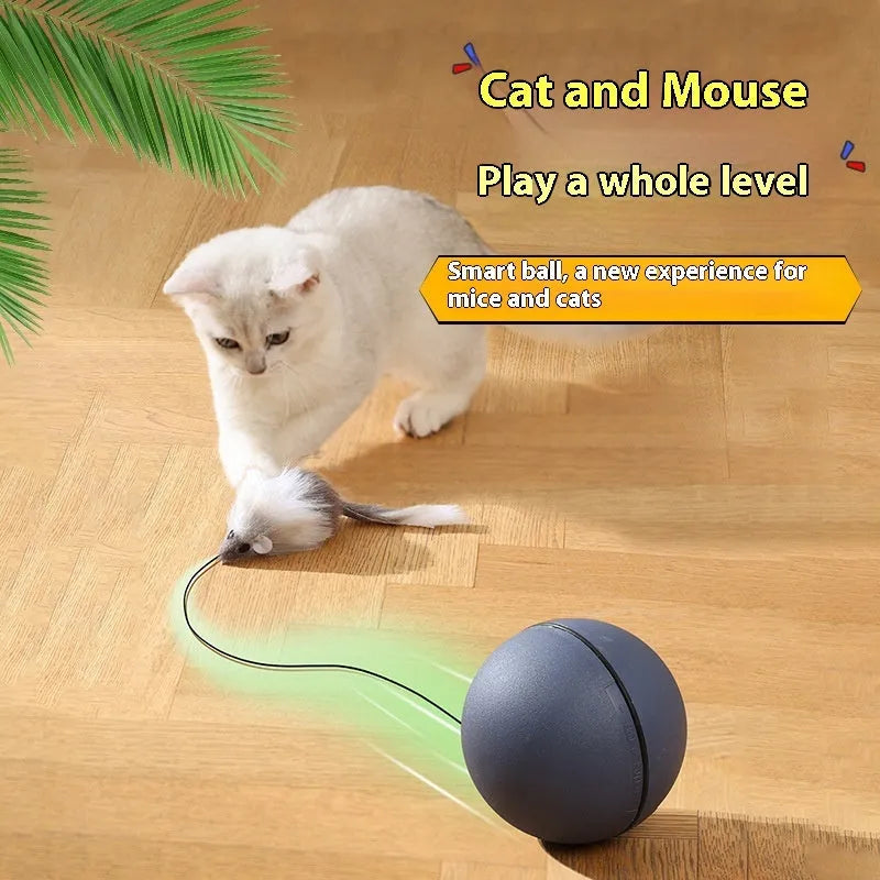 Automatic cat teasing ball toy with attached grey plush mouse on a blue and orange plastic ball