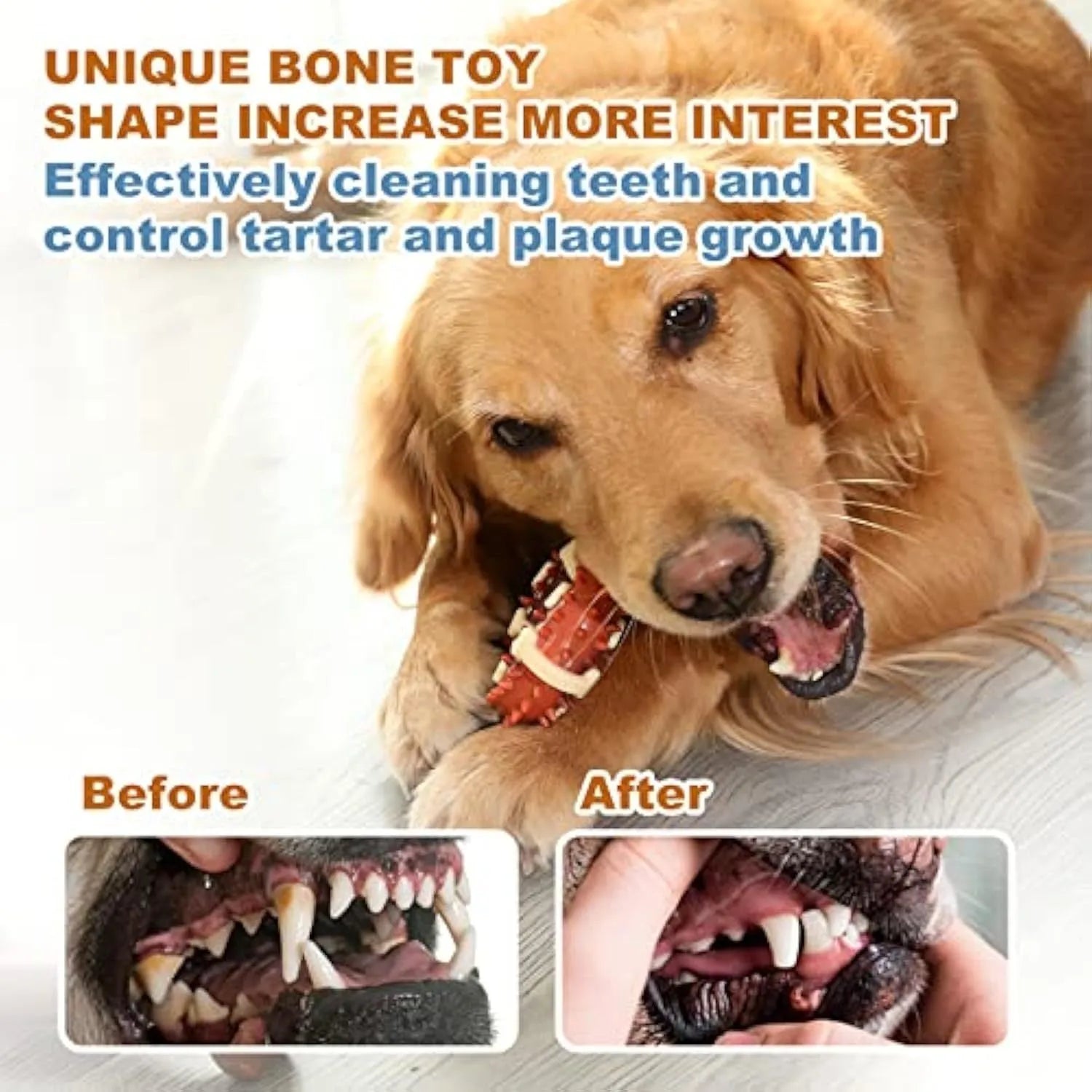 Natural rubber bone-shaped dog molar toy for teeth cleaning and anxiety relief in two size options