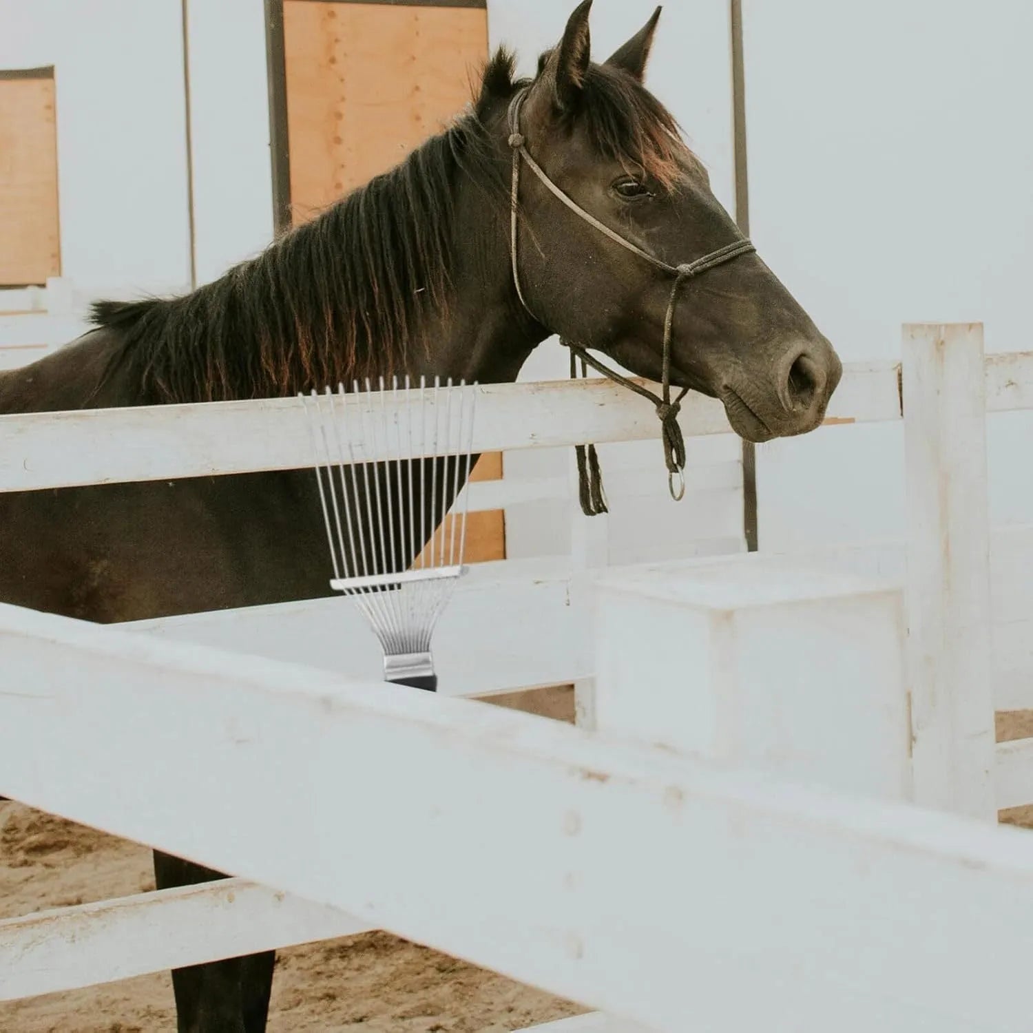 Black stainless steel horse grooming rake with metal comb teeth, measuring 33 cm long.