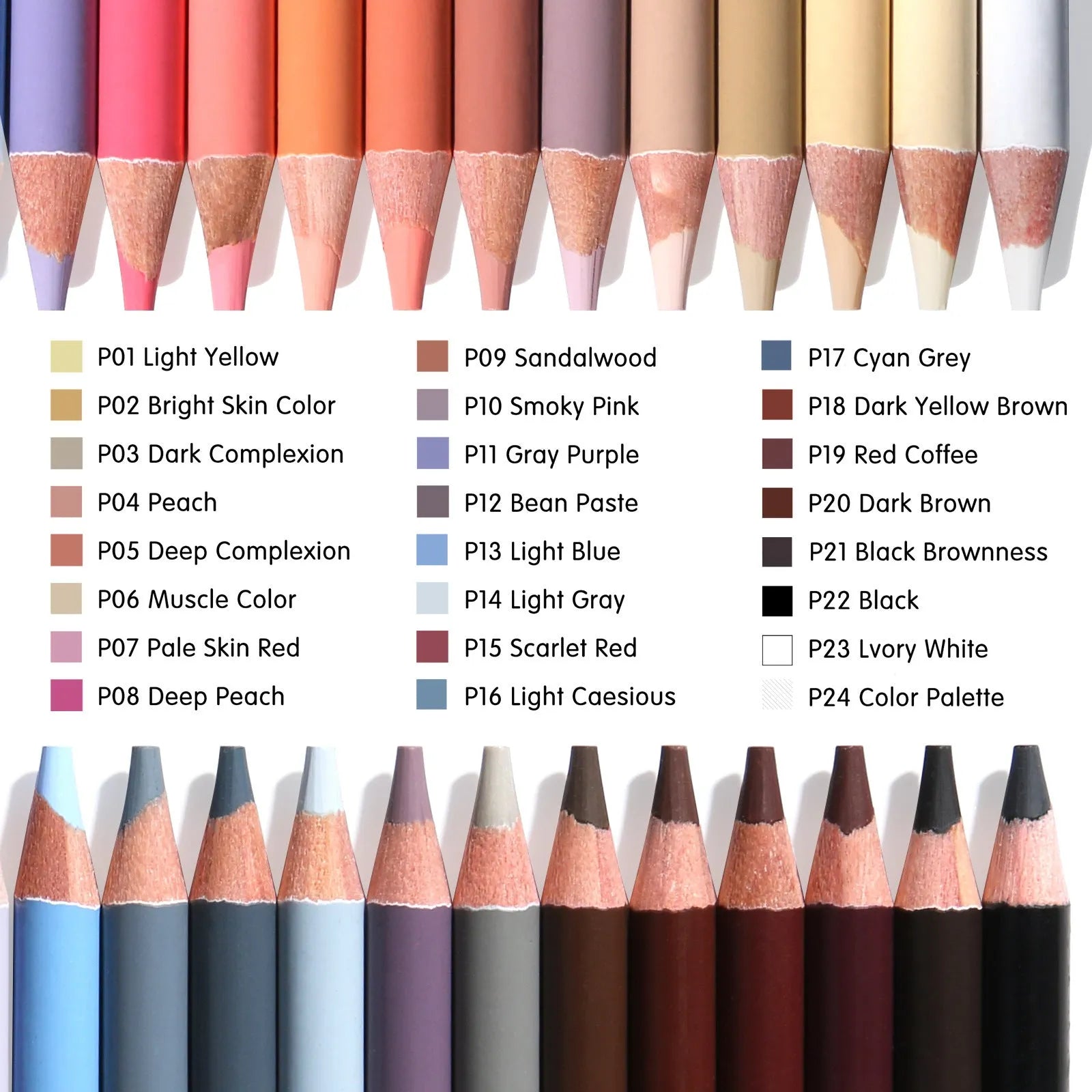 24 skin colour pencils for portrait drawing in a round iron tin box