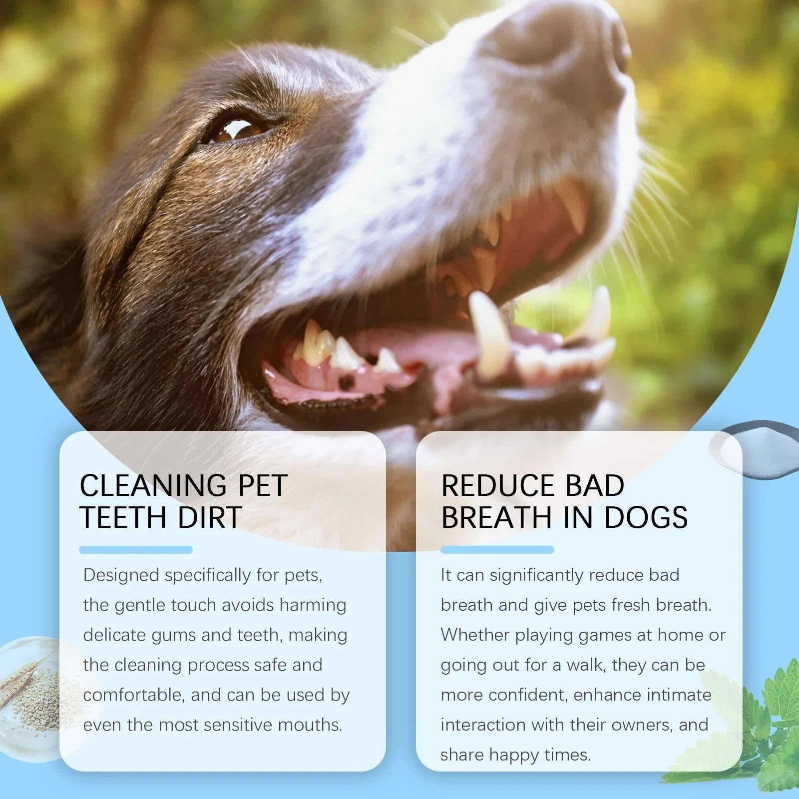 A white pet toothbrush pen with a soft bristle head and an included tube of pet toothpaste.