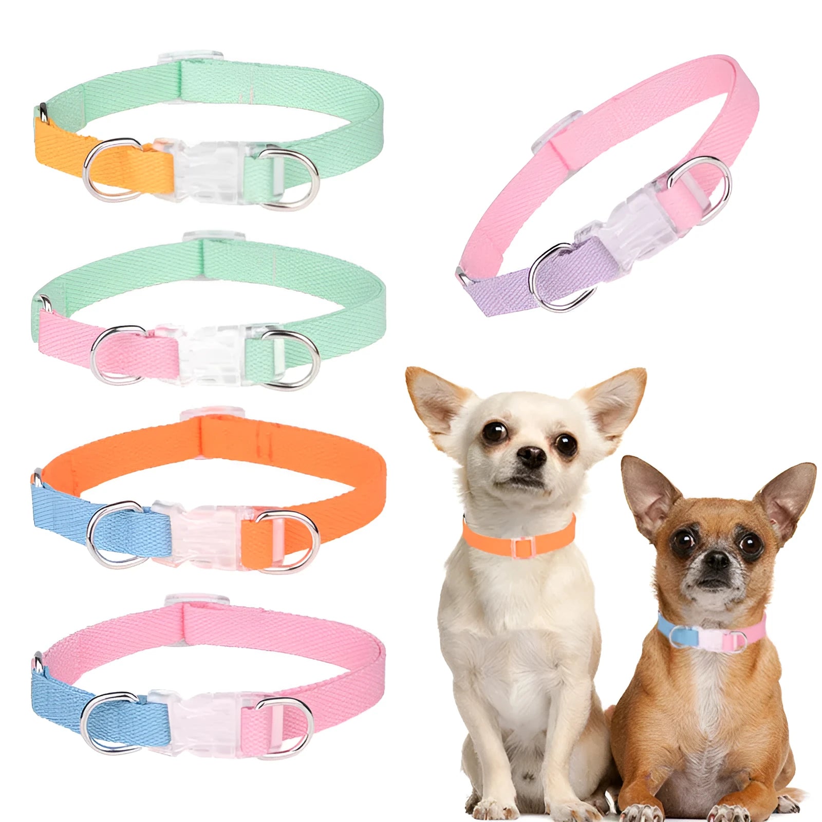 Polyester dog collar, lead, and chest strap set showing adjustable sizing and colour options