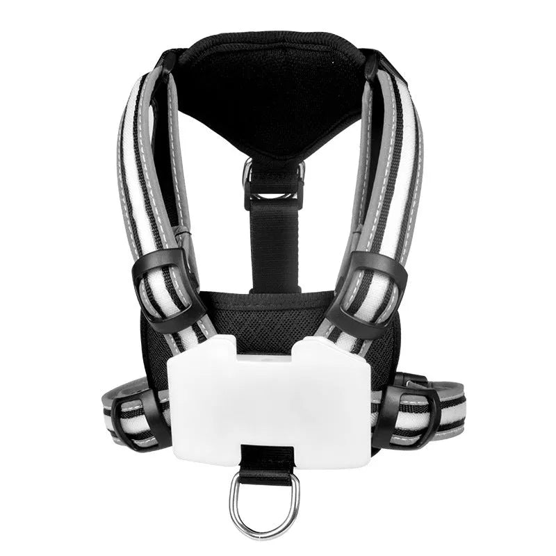 Seven-colour changing LED dog walking lead with USB charging cable in waterproof nylon
