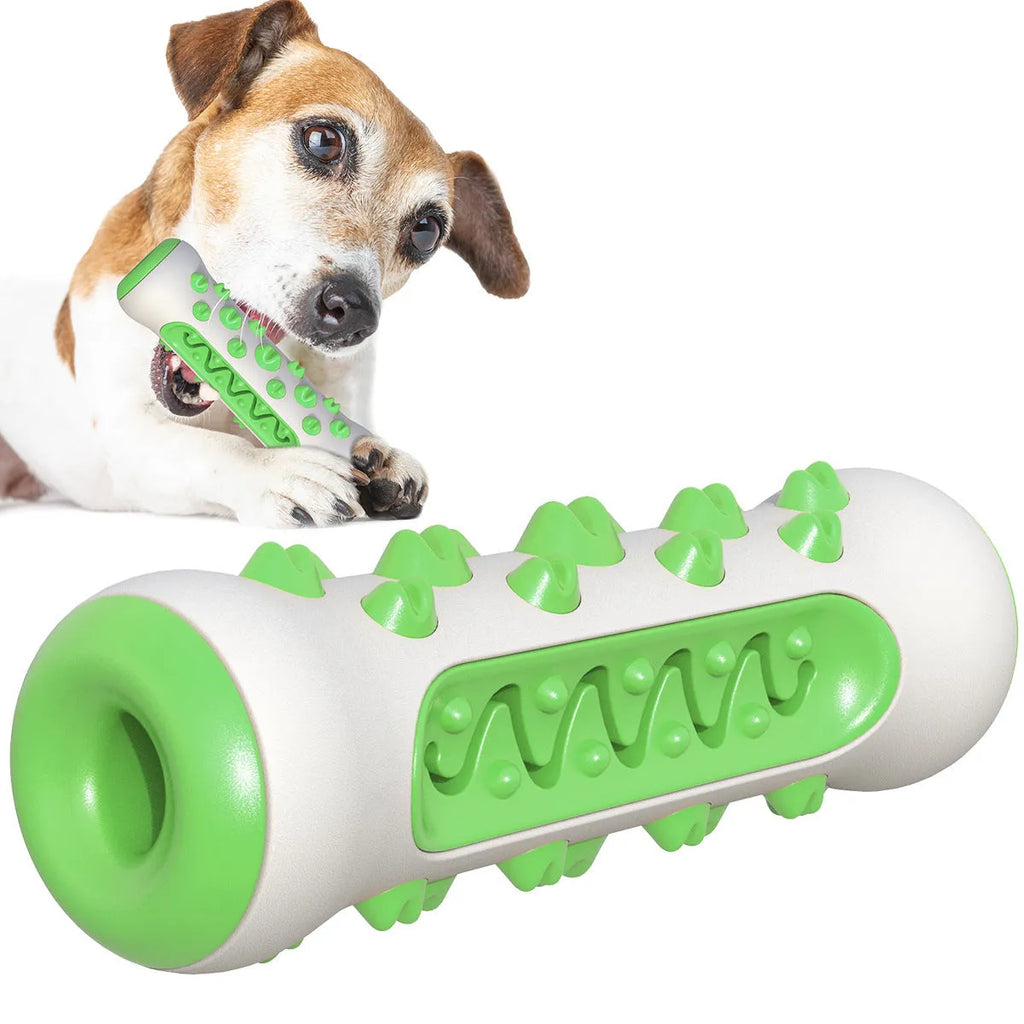 Natural rubber dog dental chew toy in blue colour for teeth cleaning and tartar reduction
