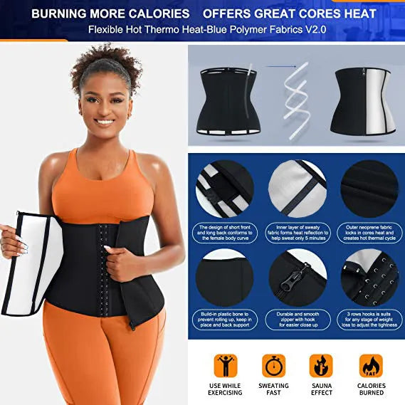 Adjustable neoprene belly band for abdominal support shown in blue and silver colours.