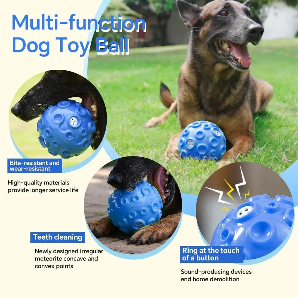 Interactive dog chew toy ball with textured surface in multiple colour options