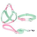 Polyester dog collar, lead, and chest strap set showing adjustable sizing and colour options