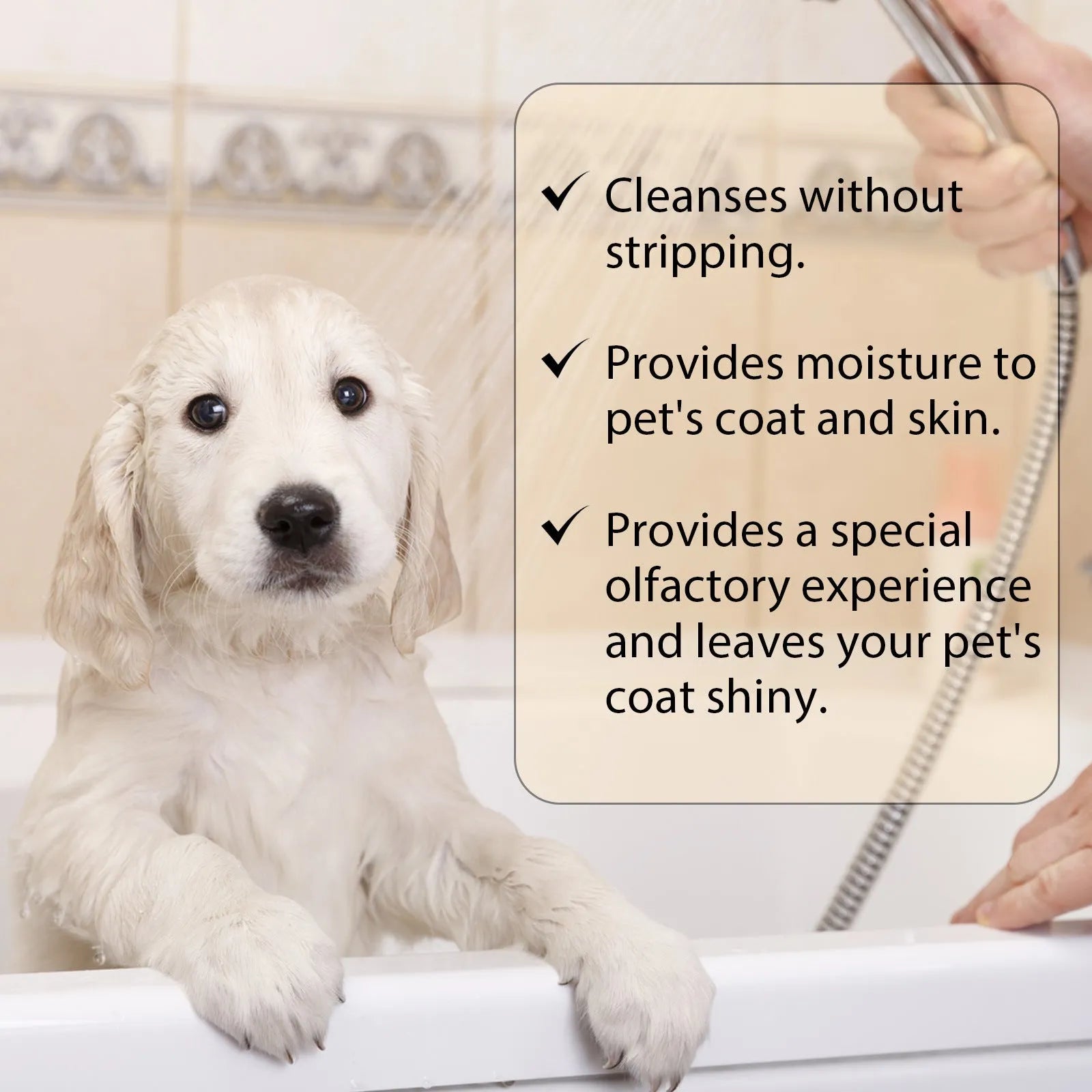 Bottle of mild dog shampoo for softening and detangling hair, shown in 100ml and 300ml sizes.