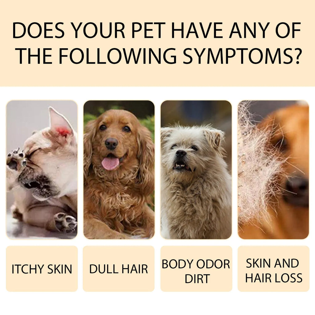 Bottle of mild dog shampoo for softening and detangling hair, shown in 100ml and 300ml sizes.