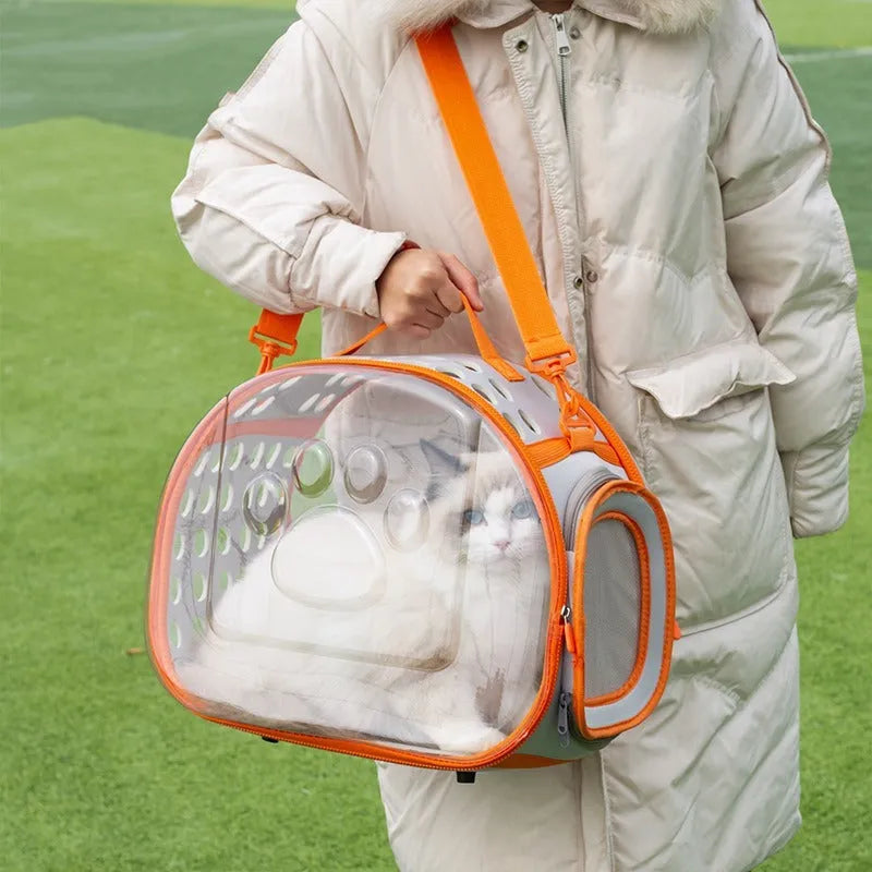 Transparent hard EVA cat backpack in large 42x28x35cm size with foldable design