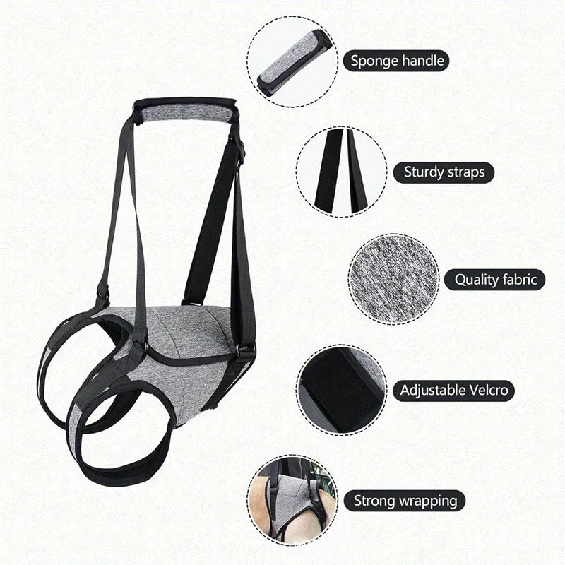 Neoprene dog rear leg recovery belt showing adjustable waist and thigh support for injured dogs
