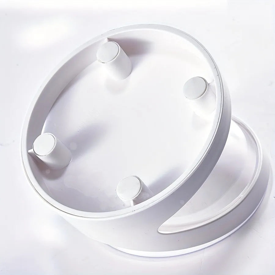 White elevated tilted plastic cat food bowl for ergonomic feeding.
