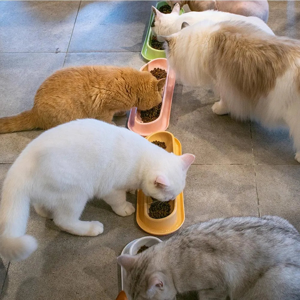 Green weighted pet bowl with anti-slip feet for cats and dogs on a floor.