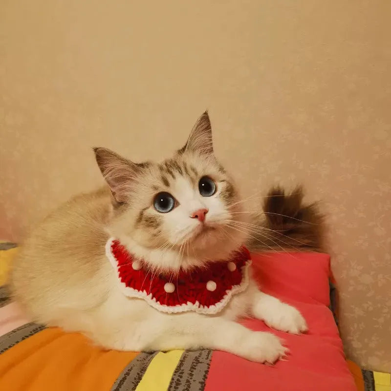 Cartoon pattern knitted pet collar in milk cotton for small cats, dogs or rabbits.