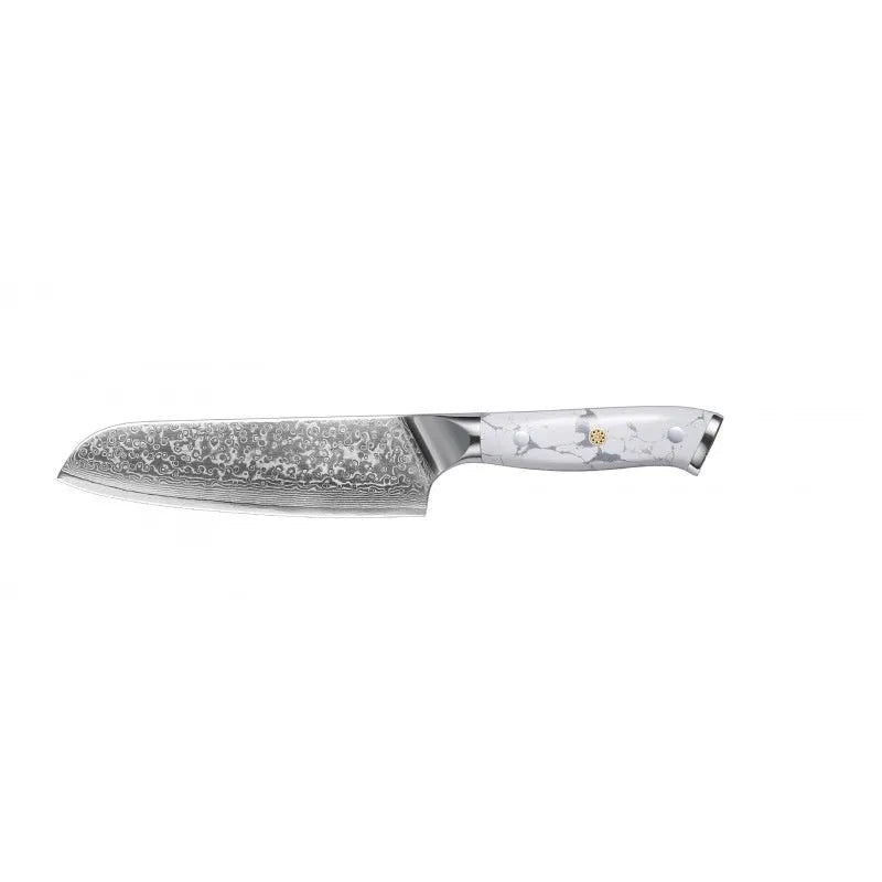 Damascus pattern chef's knife with 21cm VG10 steel blade and 11cm handle on a kitchen counter.