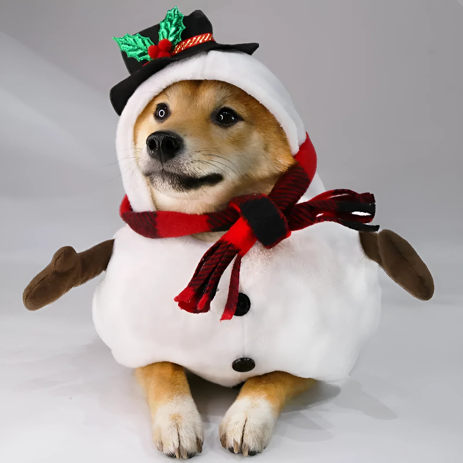 Christmas snowman dog costume polyester pet clothing in holiday setting