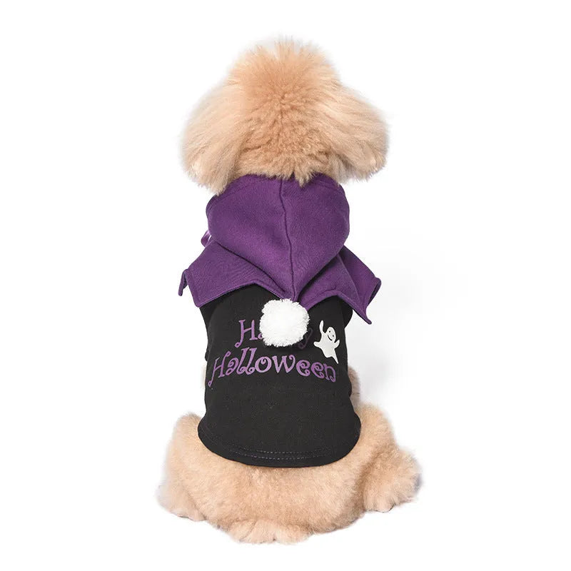 Orange and black Halloween pumpkin two-piece dog costume sweater and shawl set.