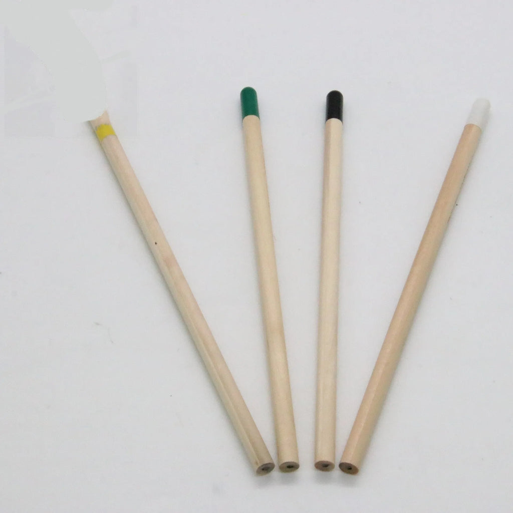 Seed pencil with degradable plant capsule containing herb, flower, or vegetable seeds