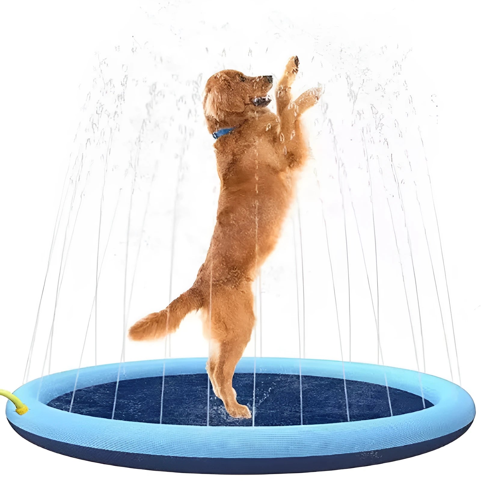 Large blue anti-slip dog splash pad filled with water in a garden, with a dog playing on it.
