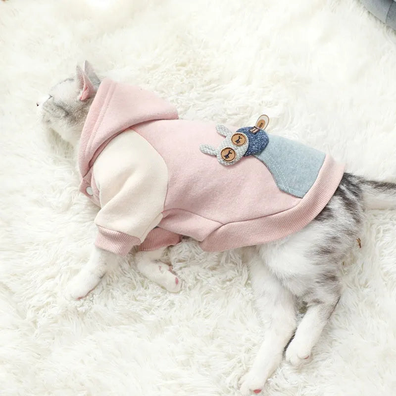 Brown cotton pet sweatshirt for a small dog on a sofa.