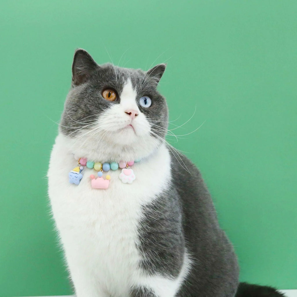 Colourful macaron-style resin pet headdress collar with adjustable sizing for cats and dogs, includes matching bracelet.