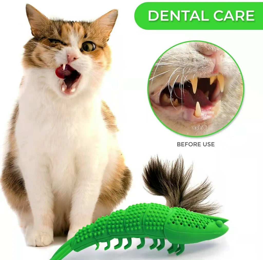 Blue hard rubber cat chew toy with dental cleaning function and bell inside.
