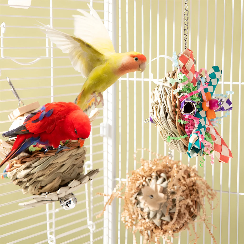 Parrot gnawing molar chewing toy for small to medium birds with textured surface