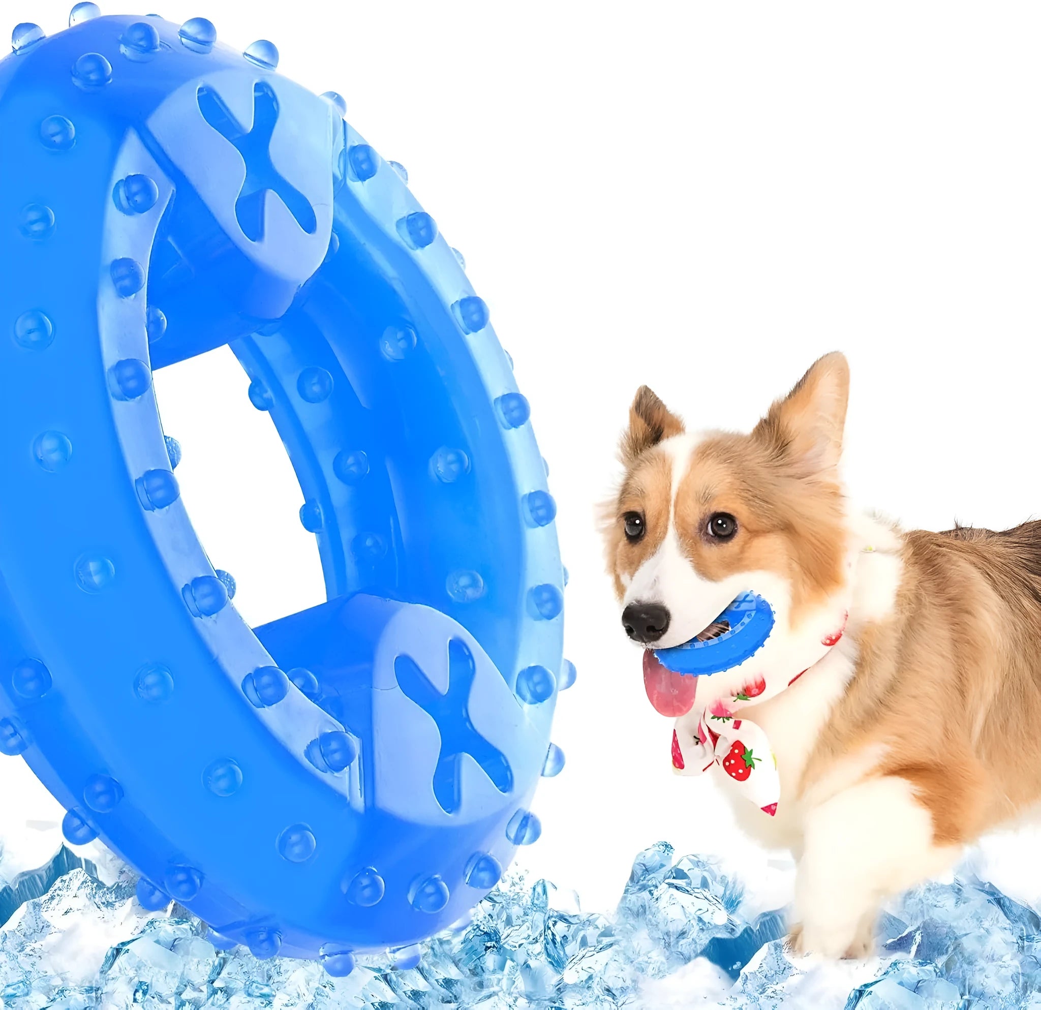 Freezable plastic dog chew toy filled with water for cooling and teething relief.