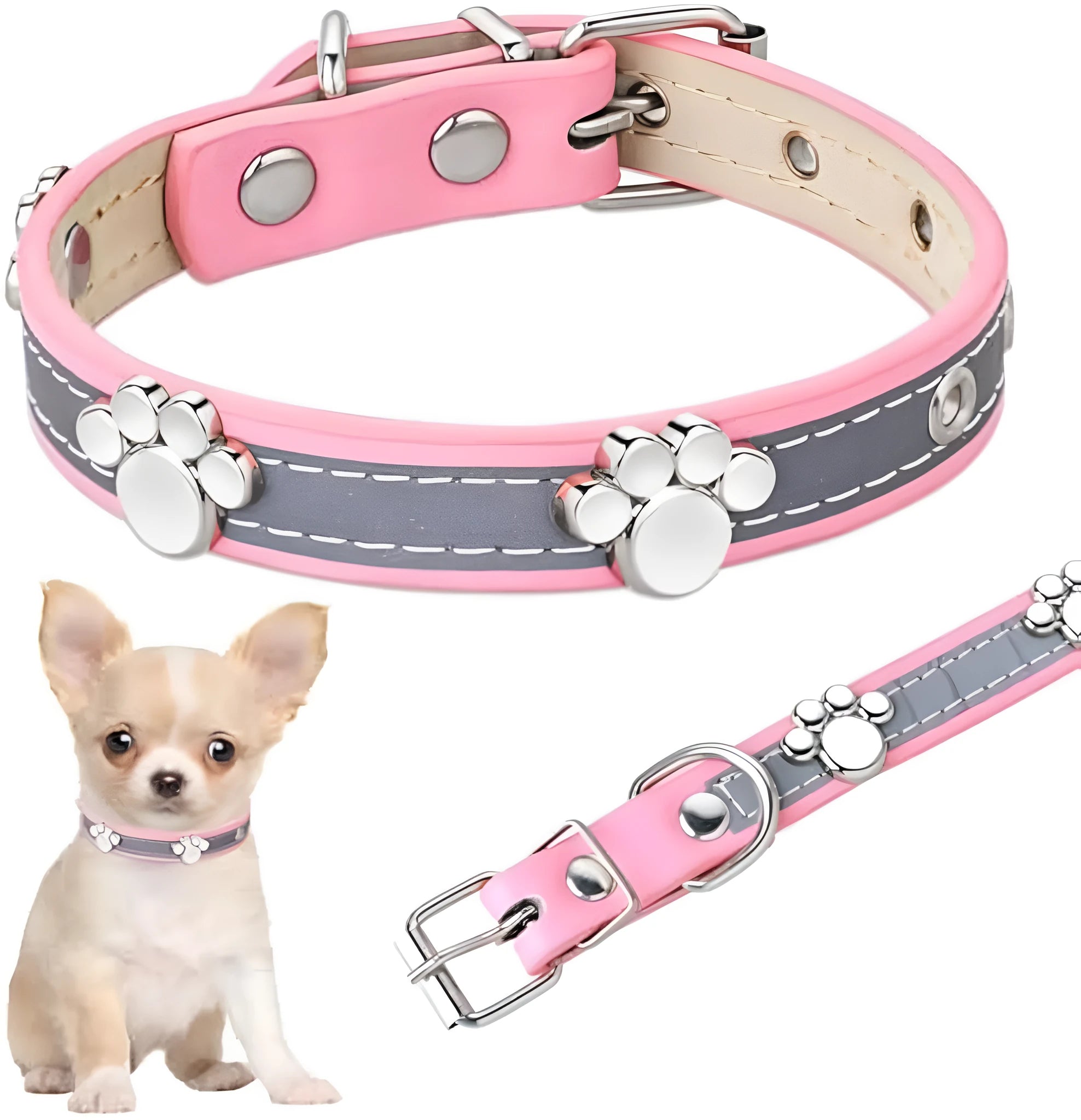 Reflective brown leather dog collar with metal buckle and decorative paw-shaped rivet, shown on a size chart.