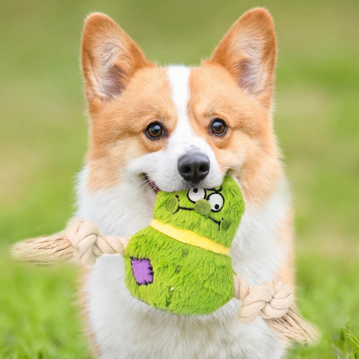 Green interactive dog toy with plush fabric, rope knots, and built-in squeaker for tug of war games