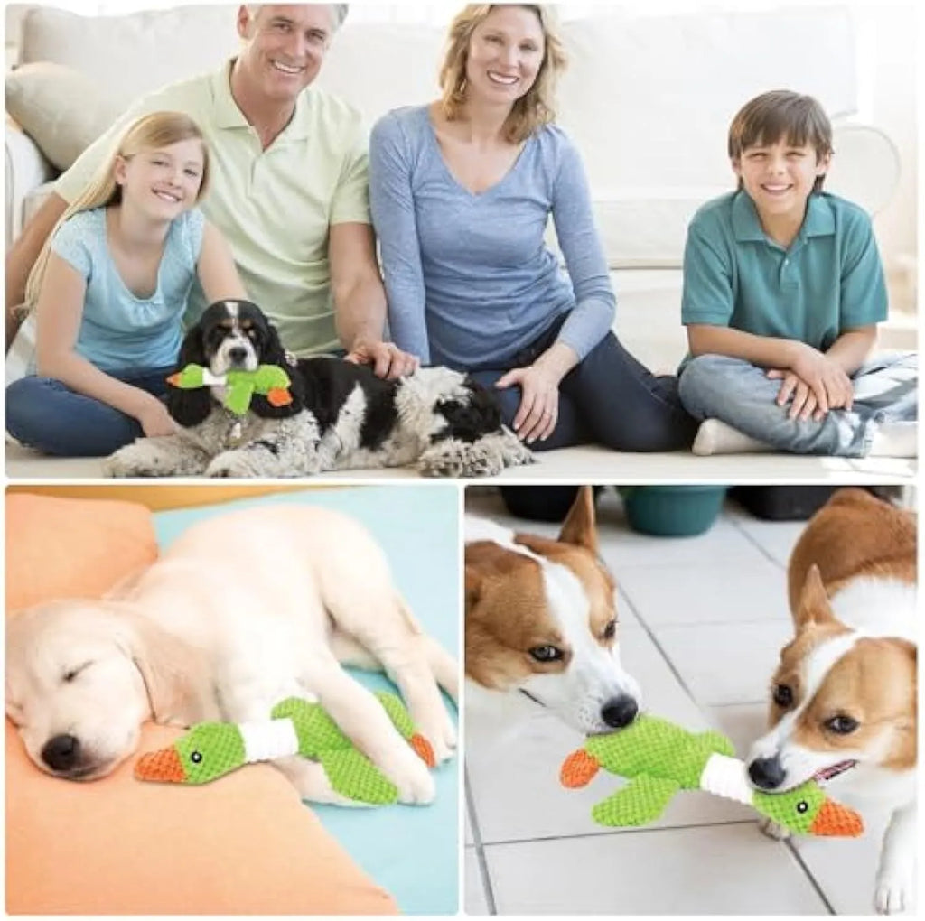 Blue durable duck plush dog toy with squeakers for chewing and interactive play