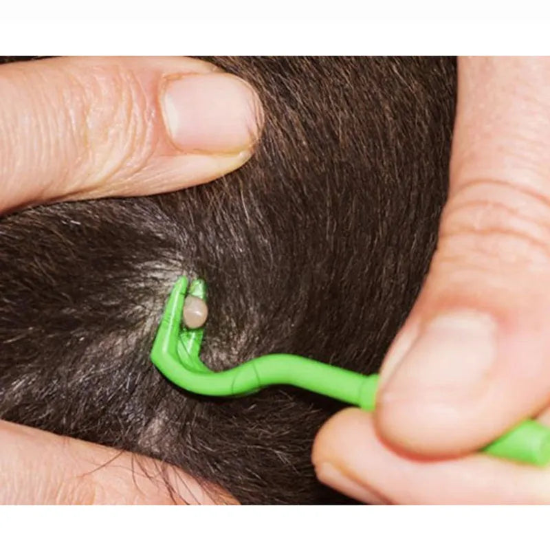 Three plastic tick removal hooks for pets in blue and green colours