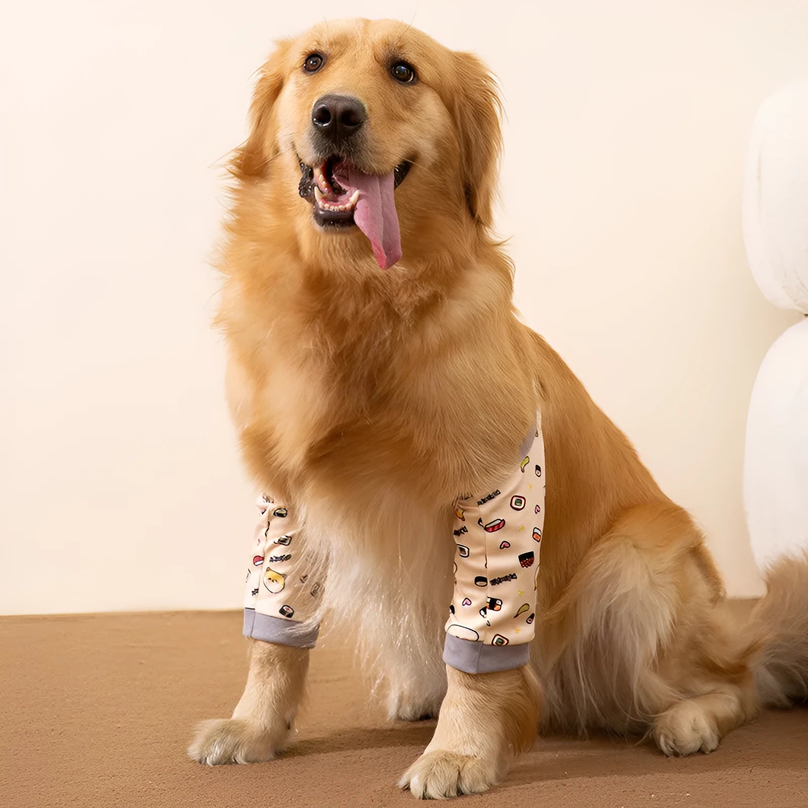 Blue dog knee protector pad with adjustable straps and matching scarf on medium dog