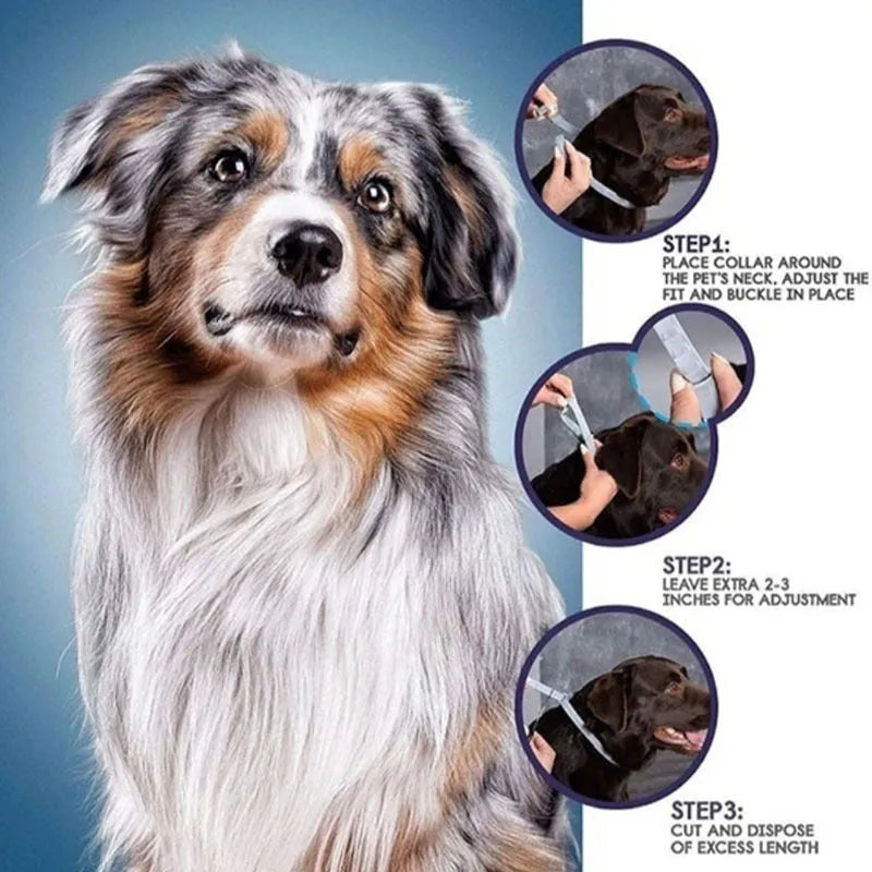 Rainbow packaged flea prevention collar for cats and dogs in plastic construction