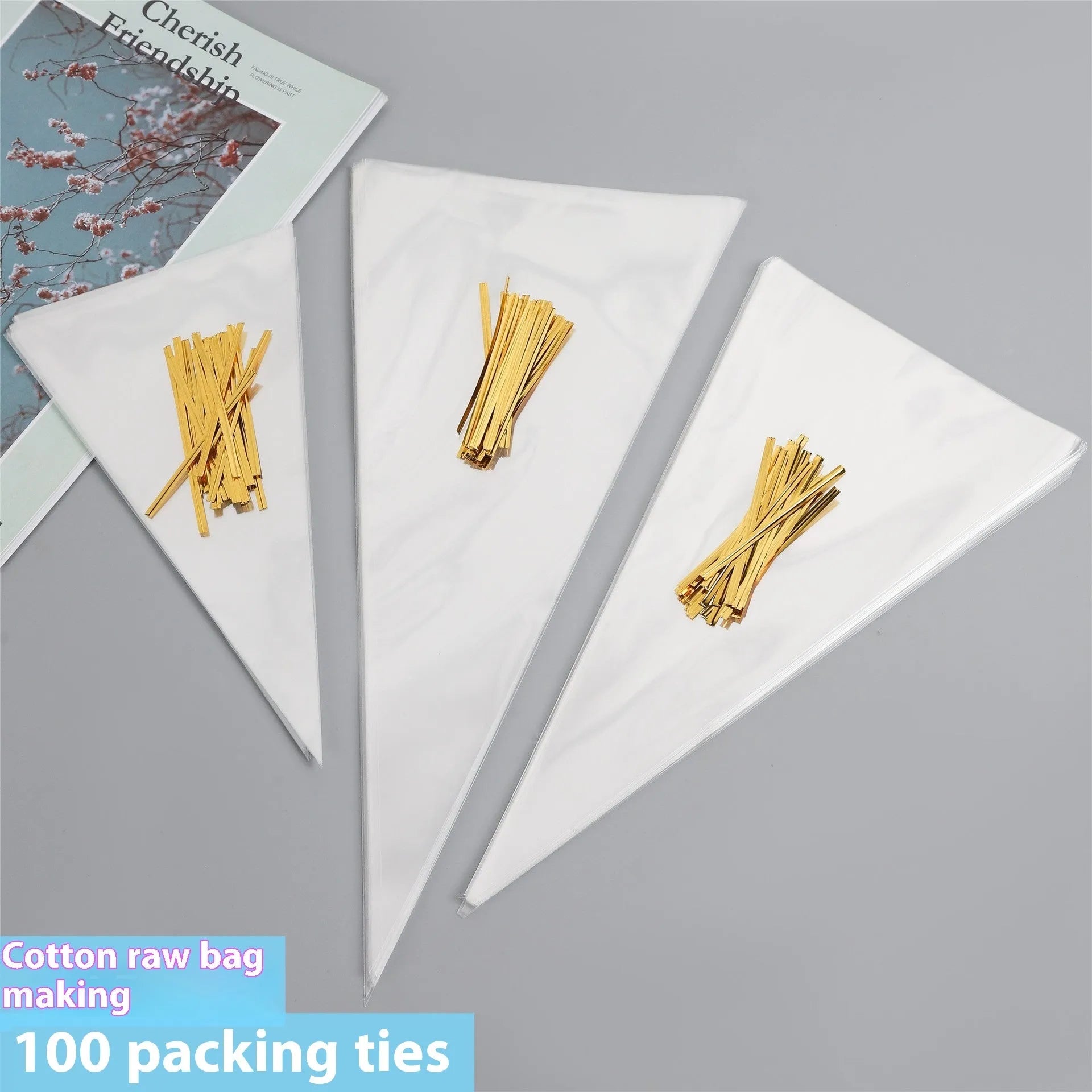 Clear triangle-shaped plastic packaging bag with a twisted wire tie closure on a white background.