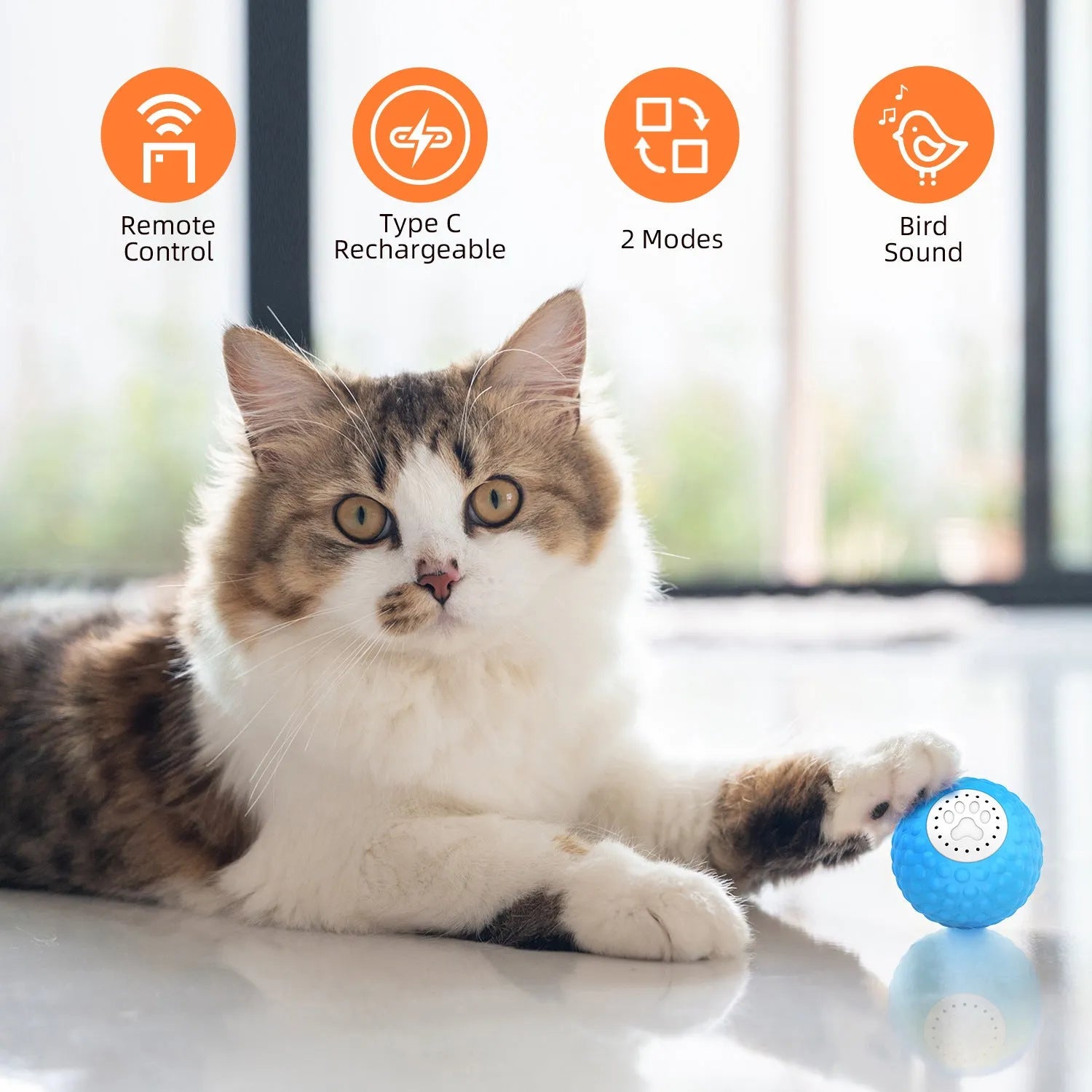 Remote control interactive cat toy with rolling ball and laser pointer in blue colour option
