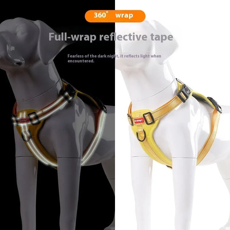Multi-colour polyester dog chest harness with attached lead in sizes for small to large breeds.