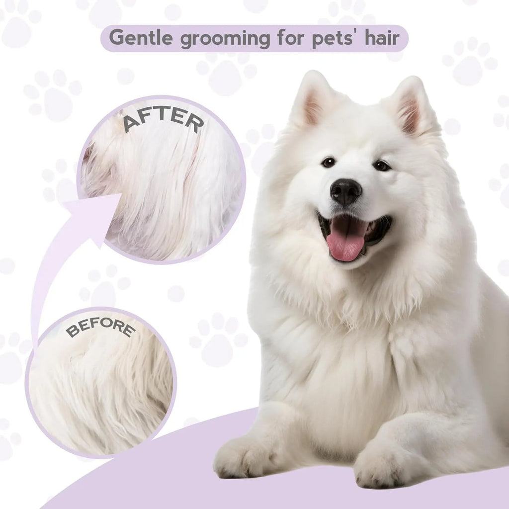Purple pet detangling comb with stainless steel teeth for grooming cats and dogs