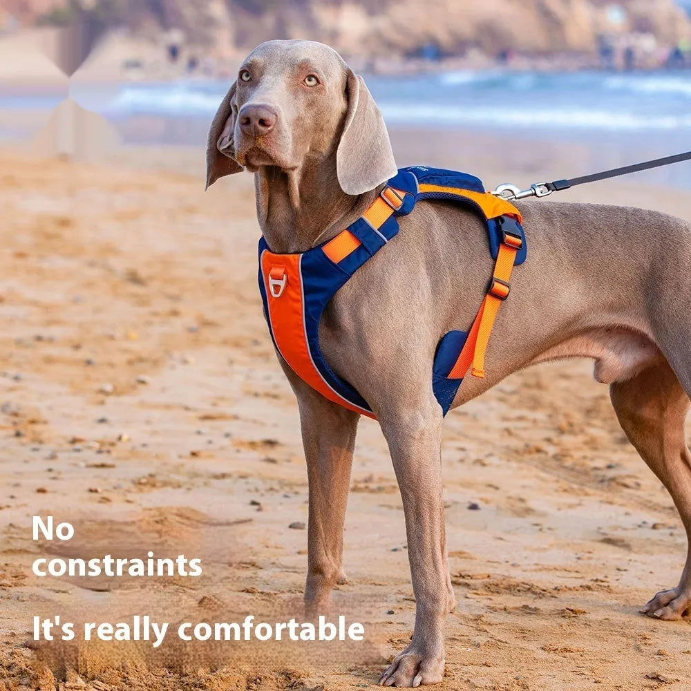 Orange blue nylon dog chest strap vest harness with integrated hand rope leash