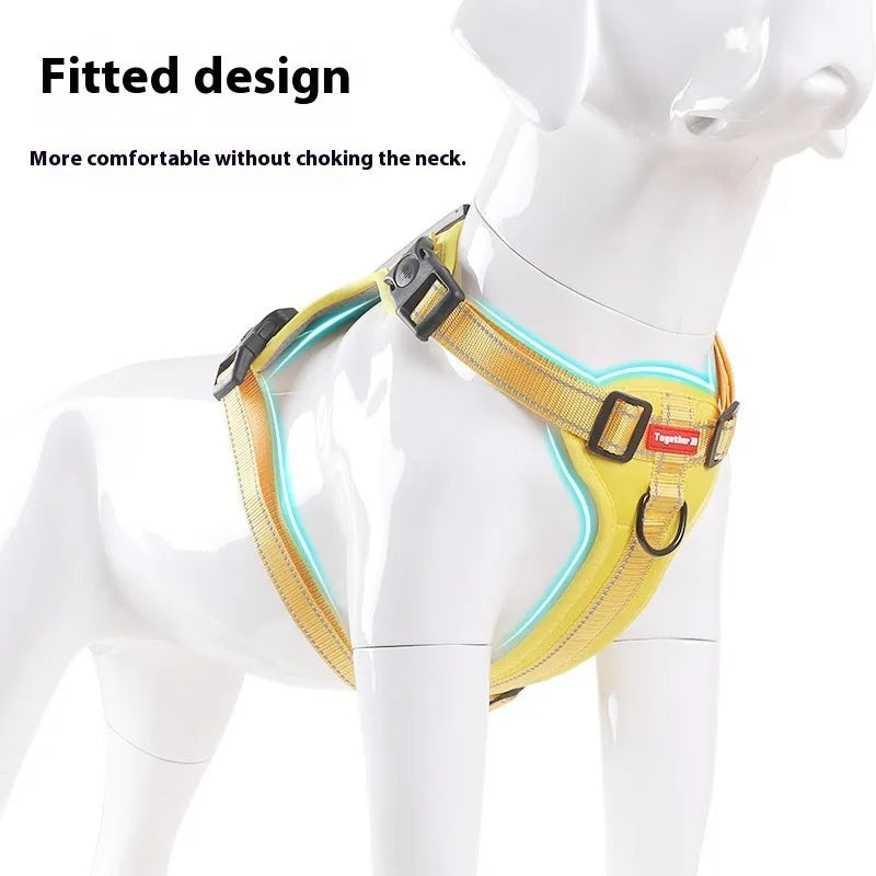 Multi-colour polyester dog chest harness with attached lead in sizes for small to large breeds.