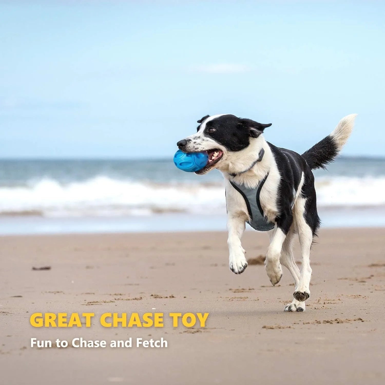 Natural rubber squeaky dog chew ball toy for medium and large breed aggressive chewers in blue, green, orange colours