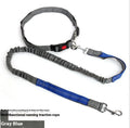 Grey and green reflective nylon dog leash with elastic sling for outdoor pet control