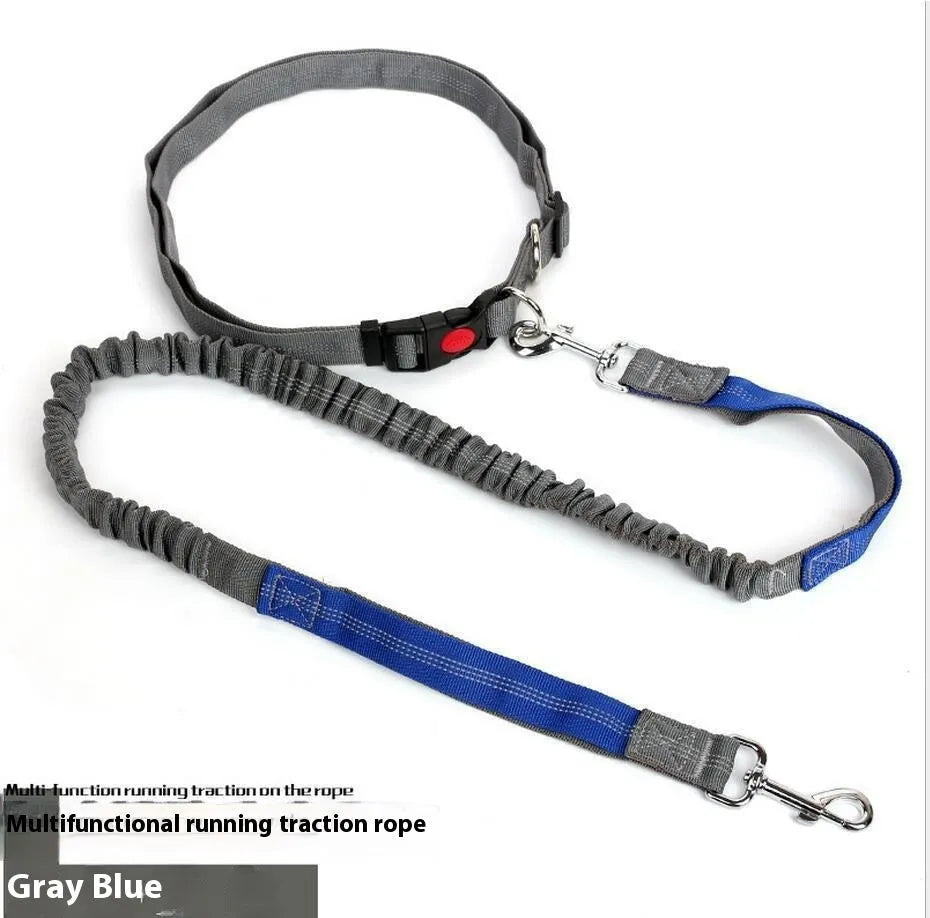 Grey and green reflective nylon dog leash with elastic sling for outdoor pet control