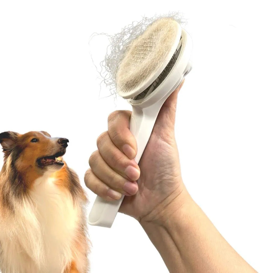 Blue self-cleaning pet grooming slicker brush with ergonomic rubber handle on a table