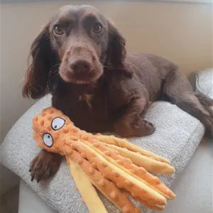 Blue, green, orange, and purple octopus-shaped dog squeaky toys with no stuffing on a white background.