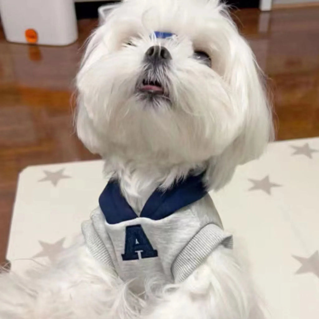 Blue slim-fit pet hoodie with reflective lettering shown on a dog, size options displayed