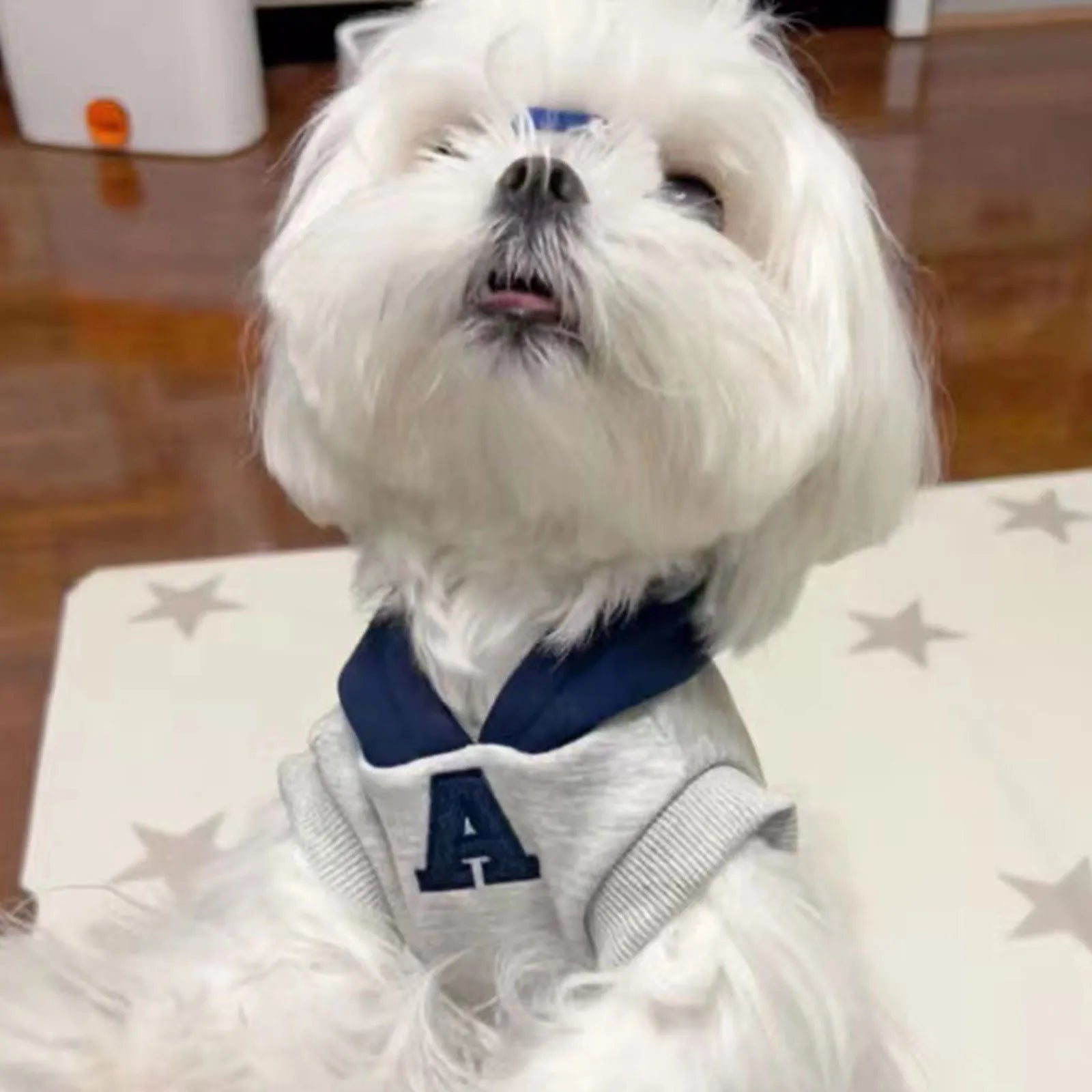 Blue slim-fit pet hoodie with reflective lettering shown on a dog, size options displayed