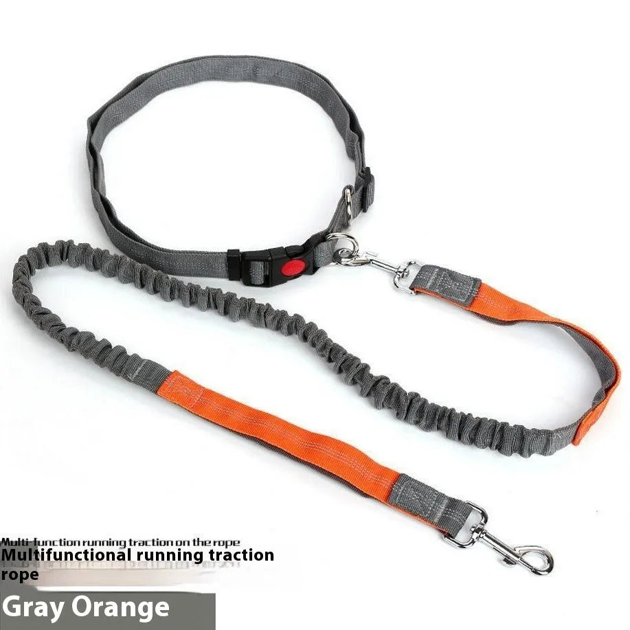 Grey and green reflective nylon dog leash with elastic sling for outdoor pet control